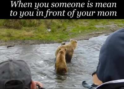 *Mama bears instincts activated*