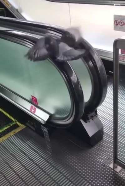 handrail sanitizer