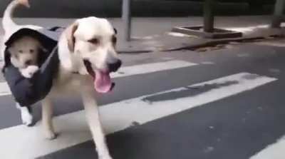 Subwoofers