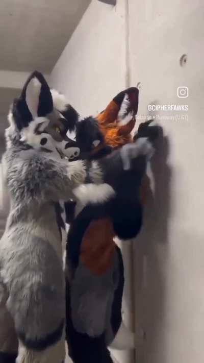 Vojta kdyz UwU