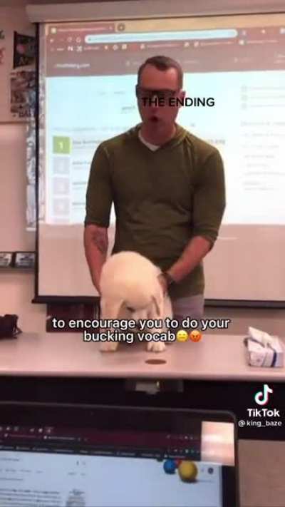 Buck the vocab mascot doing his duties