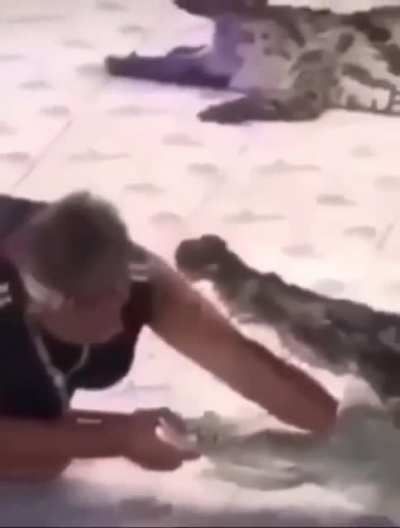 🐊