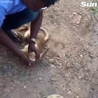 Beautiful act by human