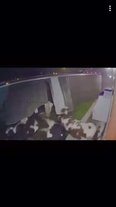 Sharp turn for the worse