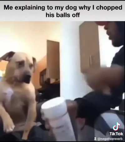 Jarule