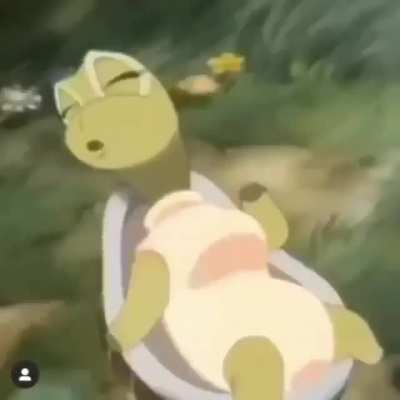 Thicc Turtle