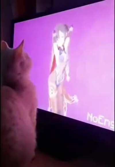 A Very Cultured Cat