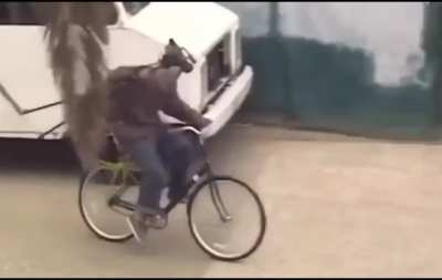 skateboard stunt ends with another stunt