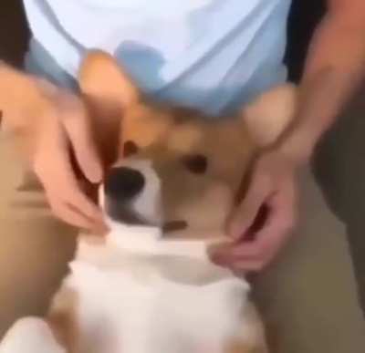 *æ*