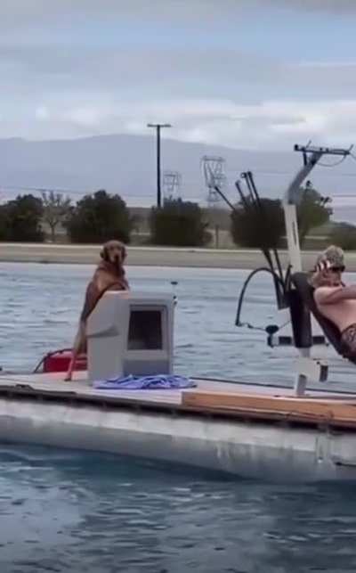 ThisLooksFun