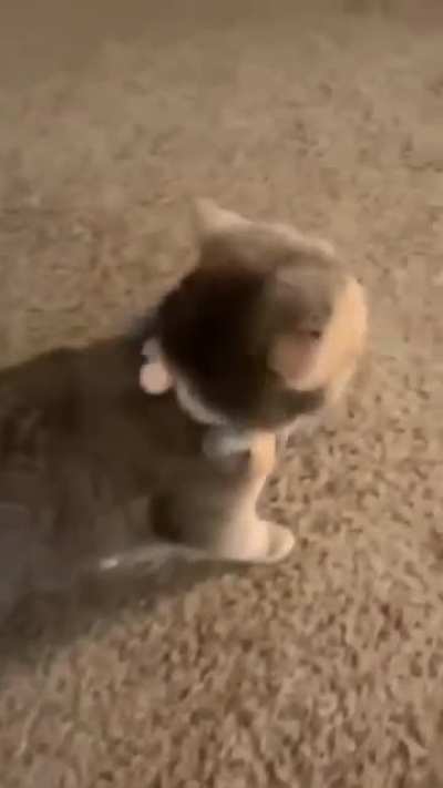 ????