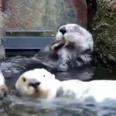 Водные проце<wbr>дуры