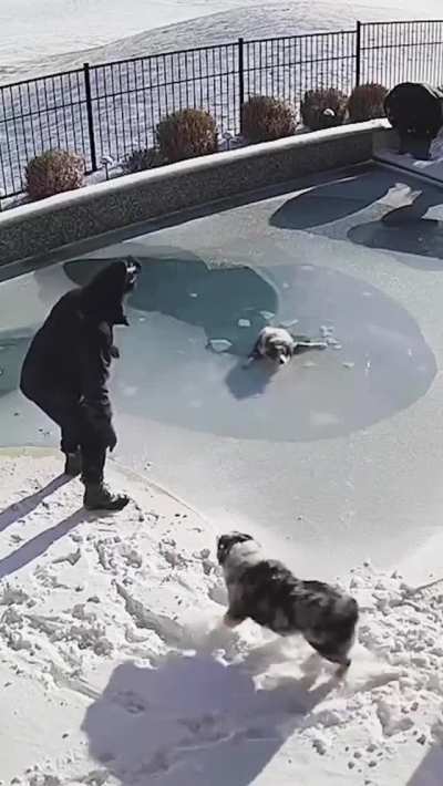 Pup is drowning, guy falls in, breaks ice and saves the pup and himself.