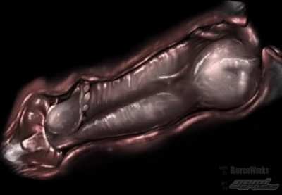 No doubt it would feel amazing being knotted