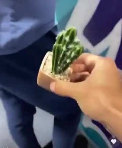 Yes