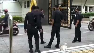 When you’re on duty and you also Love cats…
