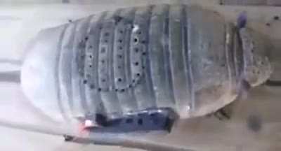 🕉️🕉️شغيهؤتسنسههعي