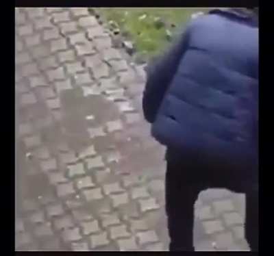 Bro sees viruses