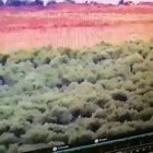 Here is what being on the receiving end of an ATGM attack looks like. Turkish Outpost camera in Syria records two missiles fired towards itself.