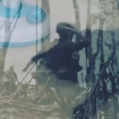 He’s seen some things