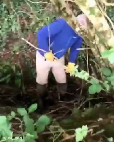 What are you doing, dad?
