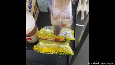 Caught red handed