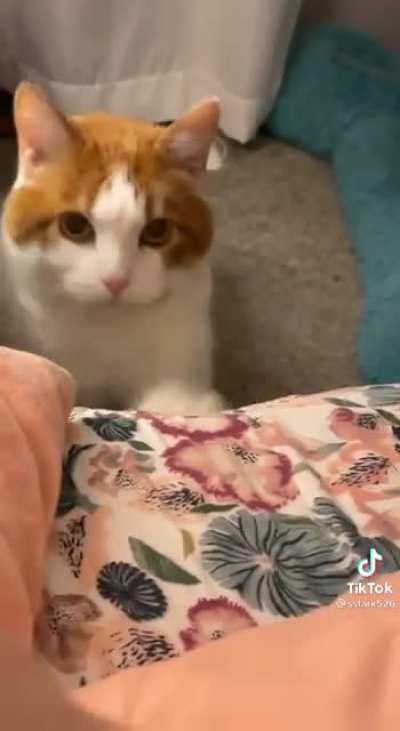She's a maniac
