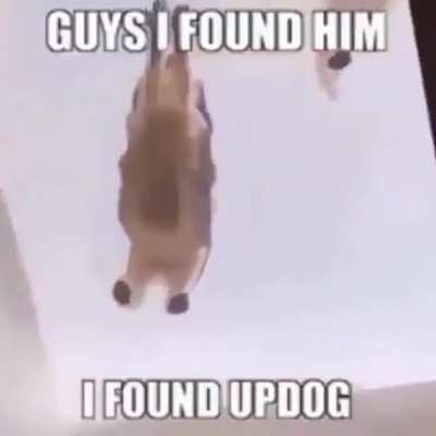 WUTS UP DOG