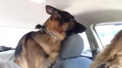 Wait a minute, this is not the park!