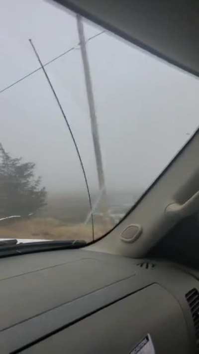 I don't know why this was so entertaining to me, but the radio antenna on my with truck was rocking out this morning