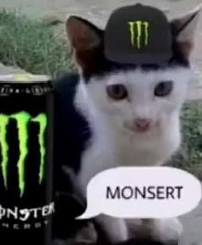 What’s your fav? I fw Monsert ngl