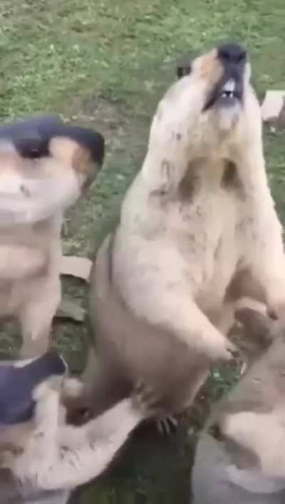 Когда ты голоден, ты не ты