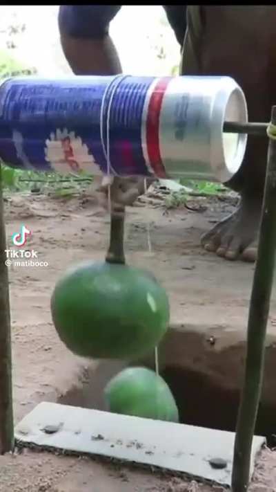 It's a trap