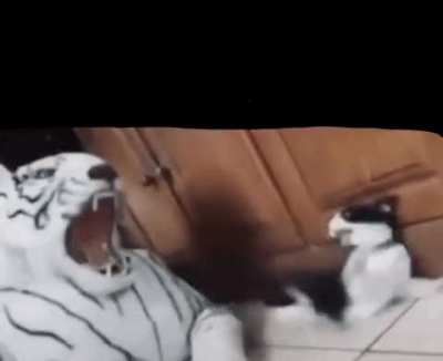 Run