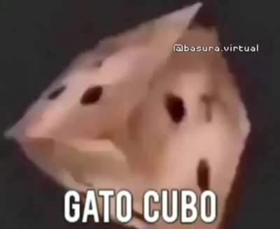 Gato Cubo