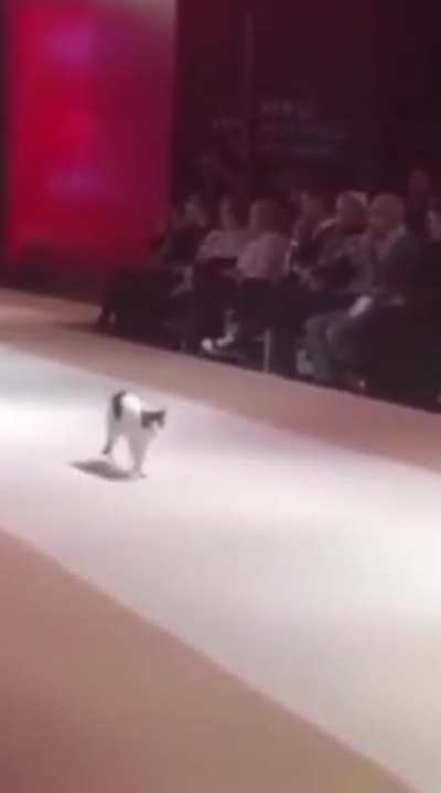 Model