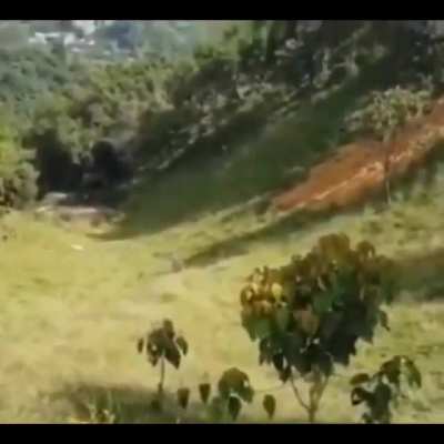 Hmb while I ride inside of a tire down a very steep hill