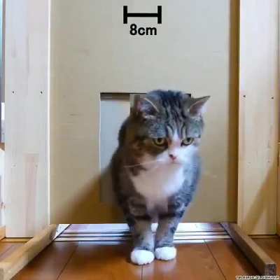 If it doesn't fit