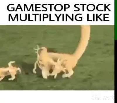 GameStop Stock Multiplying Like...