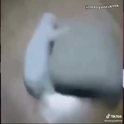 Shit? And fart?
