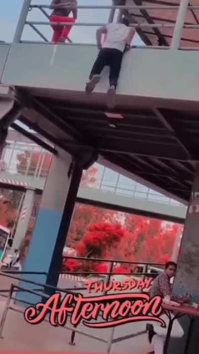 Stupid stunts
