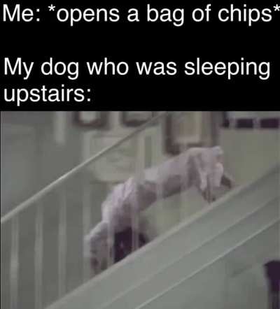 Chill boy they’re not snausages