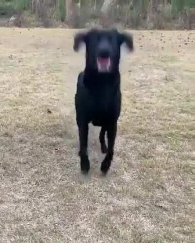 Throw him a damn ball