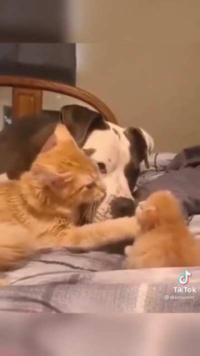 “This is my baby and you gotta be gentle..like this”