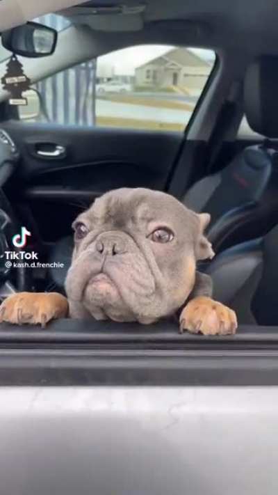 I'm a great driver! Sound on.