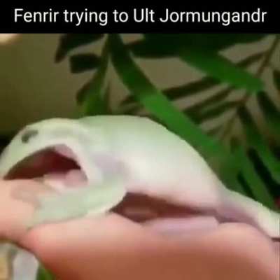 Jormy wormy