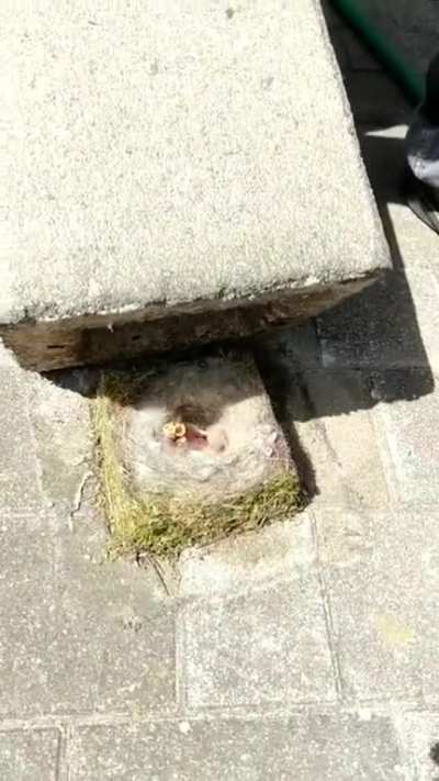 What's under here?
