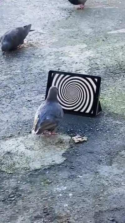 😵