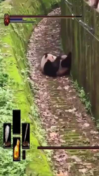 RUN PANDA RUN!!