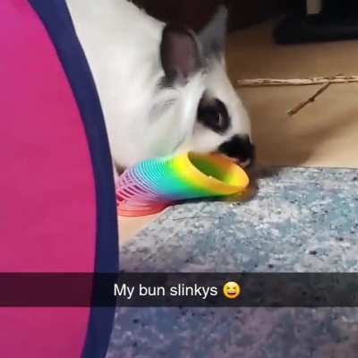 Dudu loves to play